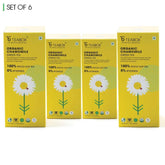 Teabox Organic Chamomile Green Tea (6 Units - 150 Teabags)