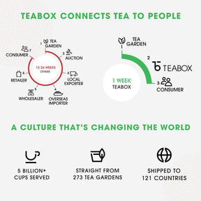 Teabox Organic Dandelion Green Tea  (6 Units - 150 Teabags)