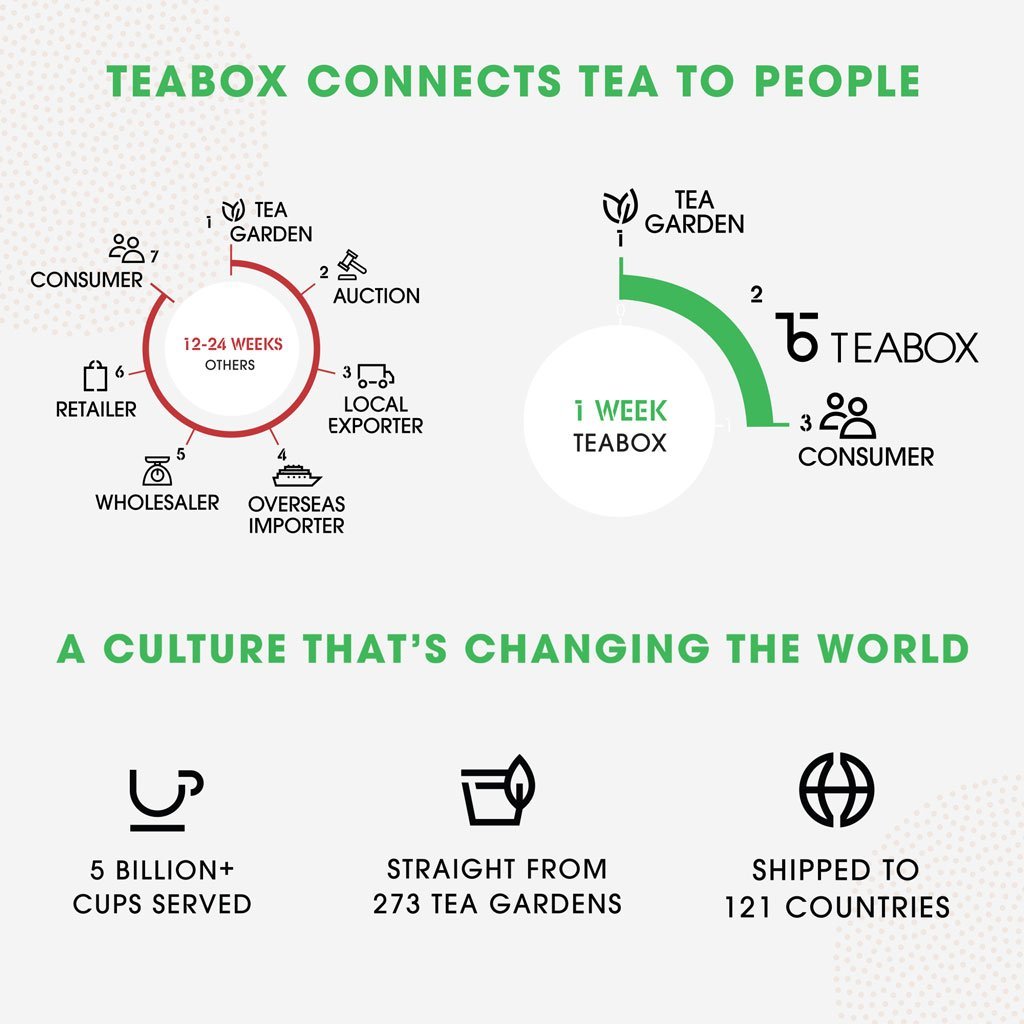 Teabox Organic Green Tea  (6 Units - 150 Teabags)