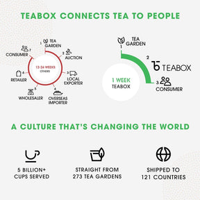 Teabox Organic Green Tea  (6 Units - 150 Teabags)
